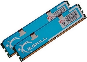 G-Skill DIMM 4 GB DDR2-1066 Kit  (F2-8500CL5D-4GBPK, PK-Serie)