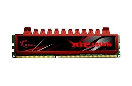 G-Skill DIMM 4 GB DDR3-1066  (F3-8500CL7S-4GBRL, Ripjaws-Serie)